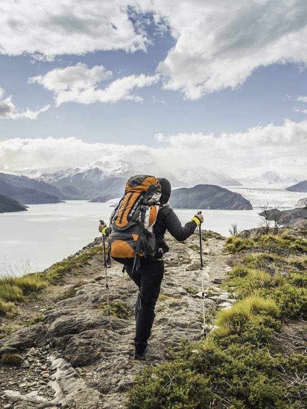 Rear view of female hiker hiking alongside Grey glacier lake, Torres del Paine National Park, Chile